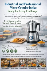 professional mixer grinder India
